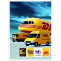 a-Class DHL/Courier Service/Express to USA